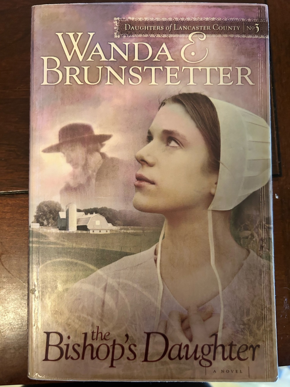 Wanda E. Brunstetter "The Bishop's Daughter" Paperback Novel - Pastel Cover